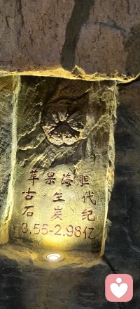 来到伊春嘉荫，神州第一龙的故乡。
指尖轻触鸭嘴龙亿万年前的脚印，白垩纪的生灵，曾在这片土地行走。
亿万年沧海桑田，再庞大的生命也终会归于岩石。
我们当下纠结的烦恼、放不下的执念，放在漫长时光里，都只是一瞬。
接纳生命的起落，允许一切变迁。人生长路，慢慢走，不必困在此刻的情绪里。