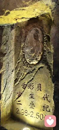 来到伊春嘉荫，神州第一龙的故乡。
指尖轻触鸭嘴龙亿万年前的脚印，白垩纪的生灵，曾在这片土地行走。
亿万年沧海桑田，再庞大的生命也终会归于岩石。
我们当下纠结的烦恼、放不下的执念，放在漫长时光里，都只是一瞬。
接纳生命的起落，允许一切变迁。人生长路，慢慢走，不必困在此刻的情绪里。