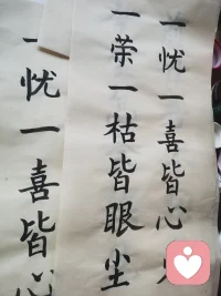 一忧一喜皆心火
一荣一枯皆眼沉配图