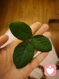 旁观者清，清的是眼睛；当局者迷，迷的是心。💖配图