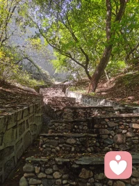 美国著名心理医生詹姆斯说:
“不要脸，不要命，走出一切心理疾病。焦虑，是你太想要掌控；抑郁，是你太想要成功；强迫，是你太想要完美；疑病，是你太想长生；社恐，是你太想要认同。你越在意什么，就越被什么困扰。”
不要脸不要命，大胆一次豁出去，你会发现什么事都没有，想的都是假的，怕的都不存在。你要是不听不信不理它，该干嘛干嘛，所有的症状全都会消失。
所有痛苦的根源，都是顾忌太多，畏惧太多，焦虑太多，只要放下心中的执念，以顺其自然的态度去生活，无所顾忌，我们都可以见招拆招，游刃有余。