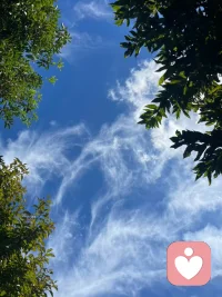 你不看，所以才有繁华，一旦你开始注视，能看到的皆是朴素。

你不听，所以才喧嚣，一旦你开始聆听，世界竟如此宁静。

———《半山文集》 ​ ​​​