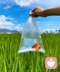 一个人说的话若90%以上是废话，他就快乐。
若废话不足50%，快乐感则不足。
在交流中，没有太强目的性的语言，更容易让人亲近。---所以，我们每天都在找＂幸福＂。
幸福是什么呢？大概就是找到了一个愿意听你说废话的人。 ​​​配图