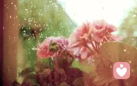 世界上有两种人，最值得我们去珍惜。不富，却愿意为你倾其所有的人，很忙，却愿意为你有空的人。