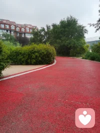 其实人跟树是一样的，越是向往高处的阳光，它的根就越要伸向黑暗的地底。
向上生长，向下扎根。配图