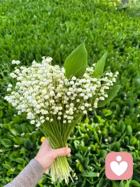 夏日的乡村，藏着平淡生活里的岁月静好。 ​​​
幸福其实就是简简单单～配图