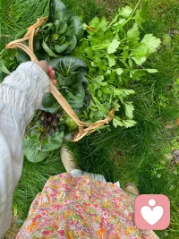 夏日的乡村，藏着平淡生活里的岁月静好。 ​​​
幸福其实就是简简单单～配图