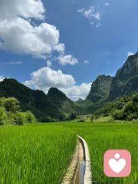 如果你心脉受损了，记住先把自己当成植物，喝水，吃饭，睡觉，晒太阳。再把自己当成动物，散步，遛弯儿，看风景。最后才做回人，正视自己的欲望，人生苦短，本来就是向死而生的。这个世界，照顾好自己，别太执着啊，才能够平安顺遂。 ​​​配图