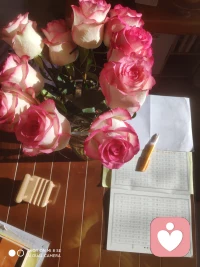 “安静的日子本无波澜，烦恼大多源于人与人之间的期待、纠缠与拉扯。减少不必要的交集，放下对他人的期待，很多困扰便会随之消散。”