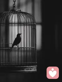古语有云：“道不同，不相为谋；层次异，难共语焉。”
和偏执的人沟通，不但徒劳无功，还损耗了自己，因此，聪明人从不会试图启蒙愚蠢，他们都是默默远离。和偏执的人争论对峙，不会越辩越明，只会深陷泥潭。
记住：花时间、花精力，开导别人的无知，是一个人最大的无知。配图