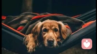 对付蠢人最高级的方式就是：不辩、不听、不较真