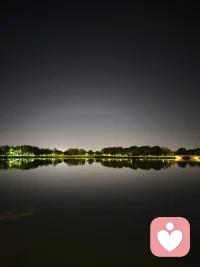 树影映水，夜色如诗，自成风景。配图