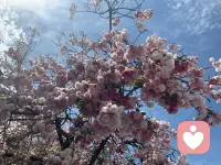 第一次玩，有需要倾诉的朋友可以来找我，我是一个忠实的倾听者配图
