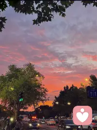 很喜欢一段文字：
从前她心气儿高骨子傲
心中有万般丘壑
前程钗裙都想
念着谁
便四处张扬
跌跌撞撞铮铮然
如今她不了
认定了自个儿平凡
就只求安生
迟暮连山黛   万般皆由人配图