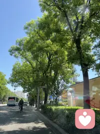 岁月静好是片刻，一地鸡毛是日常配图