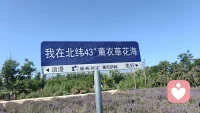 大美新疆！