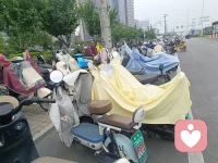 生命生生不息配图