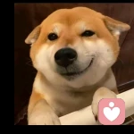 晨曦月光的头像