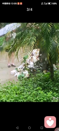 珠海暴雨中的野猫和暴雨中摔倒的快递小哥，他们连呻吟的权利都没有，他们只想活着