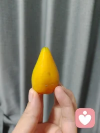 猜猜这是什么水果？