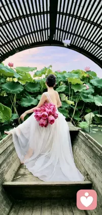 为了一抹绿，去了一座城