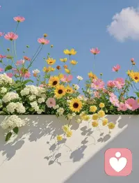 允许一切发生，也允许自己慢下来配图