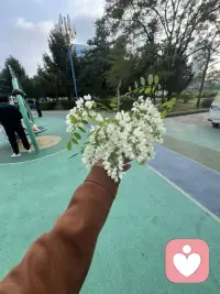 睹物思人，好像20多年没见过槐树花了！总有一瞬间会思念一个人，你呢？配图