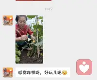 刚休息要小憩一下，看到一个不太熟悉的消息，我心里咯噔一下，问我：“感觉咋样，好玩儿吧”。以为哪个大哥暗恋我呢，打开一看，一个大姐拍了个AI小视频，发错人了，服了😰，心慌了半天，哈哈配图
