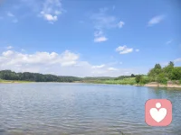 成年人的世界太安静，我愿做你情绪的树洞，收纳所有心事。配图