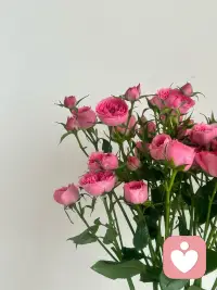 祝我们祉猷并茂  顺遂无虞。。。配图