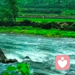 青山绿水的头像