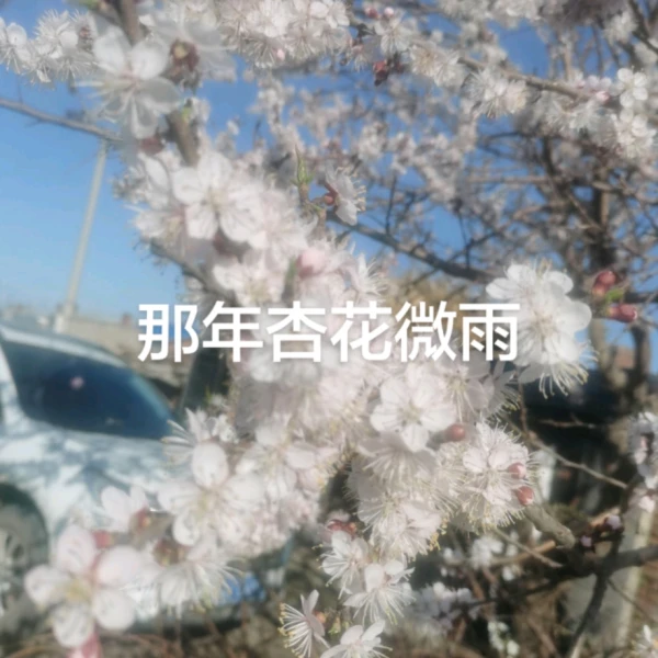 雨轩