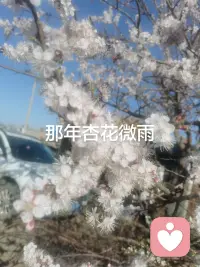 我会认真听你说的每一件小事，不催你、不打断你，陪你把坏情绪都倒干净，再一起轻松面对接下来的日子。配图