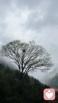 生活中，我们每个人被触动的瞬间都不一样，能引起我们共鸣的，也许是因为我们曾经的刻入骨子里的记忆，我们不会时不时想起它，但是突然闯入的一个图像、一个声音、一个动作，都会激发我们的情绪。