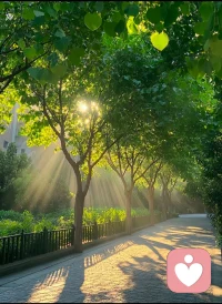 不要争争吵吵，其实一晃就老，不要斤斤计较，时光属于你的越来越少，穷也好，富也好，走后一切都是过眼云霄。