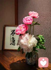ˎˊ˗    .   
越焦虑的年代越要慢下来
把自己放在向上的环境中
时刻相信潜移默化的力量配图