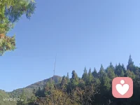 倾听所有心声配图