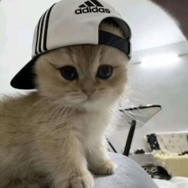 肆尘秋