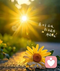 每个人的心事都值得被认真对待，每一种情绪都该有安放的地方。