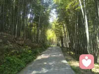 后来才慢慢懂，
有些告别没有再见，有些人只能放在心里。

我们都在悄悄自愈，把委屈藏进深夜，把情绪调成静音。
那些熬不完的难过、放不下的遗憾，没人能真正感同身受。

风会吹走心事，时间会抚平褶皱，
不用逼自己马上释怀，允许自己难过，允许慢慢放下。
你已经很勇敢了，一个人撑过了好多难熬的时刻。

别太为难自己了，
人间烟火，慢慢走，慢慢熬，
总有一天，心里的雨，会悄悄停。配图