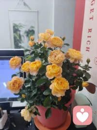 39岁，喜欢聊天，也会聊天，时间充足，情绪稳定，尽最大能力，为您排忧解难，打开心结