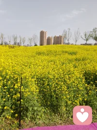 什么博弈就是两个人都想要好处，都想把坏处给对方，你改变，我不想改变，你改变，你改变，吵起来了谁都不改变。说白了，你眼中的别人难道不是你自己吗？如果你看到你的爱人，看到你的同伴开始变强，努力，你会怎么思考问题，你会感到很欣慰，你会觉得我也要改变，所以好的能量永远在一起，好的能量会吸引更好的能量。哎，一切从自我角度考虑，我们的情商是不是就开始提升了？如果你不知道这个世界的底层逻辑，人性，我们哪来的情商？当你无能的发泄你的怒火，你感觉对方无动于衷的时候，你觉得吵架能解决什么问题？吵架除了让你高血压，心梗还能带来什么呢？其实说白了，在我们的逻辑里面，吵架是一种消耗自己能量又得不到好处的行为，就是典型的损己，还不利人，这种事我们要不要再干下去回答我，你说吵架这个东西损人要是利己，咱们天天吵，但是往往。以往大部分的吵架都是不能落地，不能解决的，吵架就是典型的供输逻辑，谁也拿不到好处。