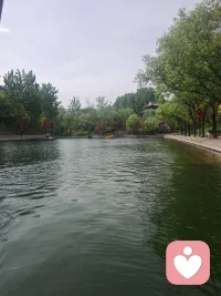 5招让男人扛不住的女人法则
男人最扛不住什么样的女人，你听好了恋爱脑的女人，她很少被真心对待的。但如果说你用男性的思维去对待男性。去谈恋爱也有可能就赢了，记住。不要费尽心机的去猜他想什么，你只要明确你自己要什么就可以了。具体怎么做呢？很简单。学男人那套相处的逻辑，这几个重点你一定要吃透我给你分享这五个方法。
第一，别把日常当做任务去分享，不必刻意的汇报行踪，也不用强迫自己秒回信息，你的分享该是什么呢？我想告诉你的自然流露，而不是怕他走的讨好，不用说我在哪儿，你吃了没这那的完全没有必要。
第二，吵架的时候你先稳住自己，跟男人打交道，沉得住气的人永远占上风。不要着急争输赢辩对错，你越冷静，他越容易慌。说到底，感情里面的底气从来是我不怕失去，你越有底气。他越怕弄丢你。
第三，大事拎得清小事不计较。男人呢？很少为鸡毛蒜皮的事情较真，但是触碰他的底线的事，比如说背叛或者欺骗他们，绝不会含糊，也得学这点原则问题呢？寸步不让，无关痛痒的摩擦，别揪着不放底线是自己的，不要被别人的标准引起情绪内耗。
第四，保持点野性，就是男人心里，他拎得清，比起谁爱我，他们更在意的是我想爱谁，所以他们很少在感情里面患得患失，你也要这样，不要围着他们转，留着自己的社交圈，爱好和棱角。你的不依附才是他让你上心的危机感。
第五，聪明的姑娘呢，都不会把感情当成全部，在男人的世界里，永远比爱情更重要的是生存事业，打游戏，饭局，还有各种老师，当那些为爱人牺牲一切的泡菜剧，都是互联网上的精神毒药，你当真你就完了。什么爸总这那的，我告诉你，女人总爱把爱不爱挂在嘴里。你要是一上来就摆出离了他不行的样子，他只会觉得吃定你了，甚至觉得你好欺负。说到底，用男性的思维去谈恋爱，不把对方的态度当，甚至不拿感情当人生的唯一支点。做到这点，您的感情至少能少走十年的弯路。