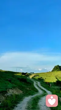 做安静的倾听者，温柔的陪伴者。
聆听烦恼，疏导情绪，治愈内耗。
愿你不必独自逞强，有人懂你的悲欢，接住所有不安。
往后心事有处安放，情绪有人温柔承接配图