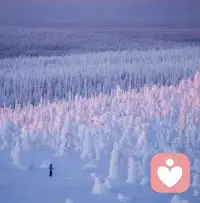 愿每一份沉默与心酸，都有温柔回应；每一段辗转难眠，都有人认真倾听。配图