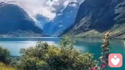 心灵的温柔摆渡人