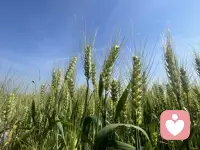 妈妈也是普通人💞
也会焦虑、委屈、内耗
愿世间所有母亲👩‍🦰
都能被温柔看见
被心理疗愈治愈👒
活得松弛又自在配图