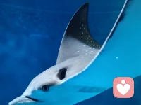 我是一个认真的听者