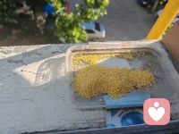 一觉睡到大天亮梦都没有，美滋滋。爱者见魂，利者见秤，万相非相，自在即真‌。早安呀配图