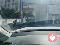 不用等什么惊天动地的大幸福，能按时吃热饭、安稳睡整觉、偶尔见喜欢的人，普通又平静的日常，其实已经是很多人求之不得的好日子。